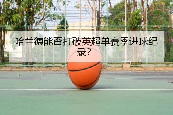 img_1782334804128_4039_1_486.jpg